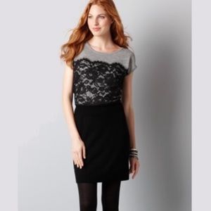 New ANN TAYLOR LOFT Black Grey Lace Sweater Dresss